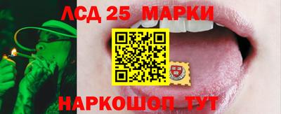 амф Новодвинск