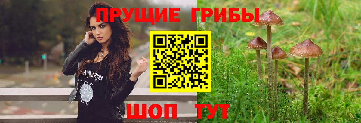 Псилоцибиновые грибы ЛСД  как найти закладки  Пыть-Ях  Вход с VPN 